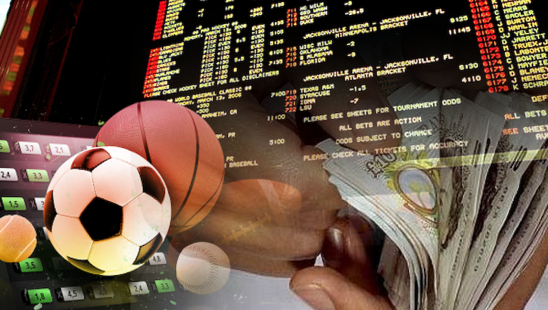 Who is the best sports betting handicapper